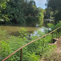 Photo de France - La randonnée de la Tamarissière